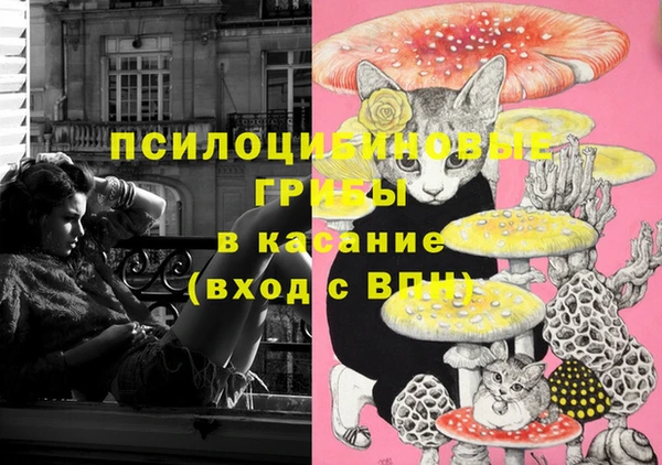 скорость Гусиноозёрск