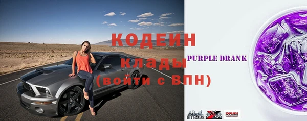 дживик Вязьма